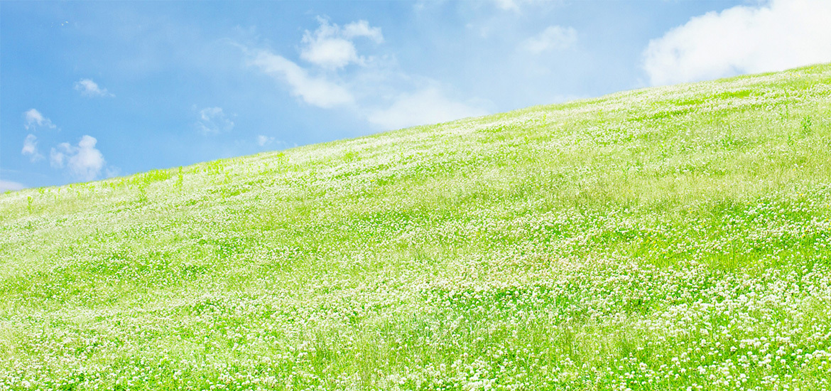 天理市柳本町　柳本　内科　整形外科外科　リハビリテーション科