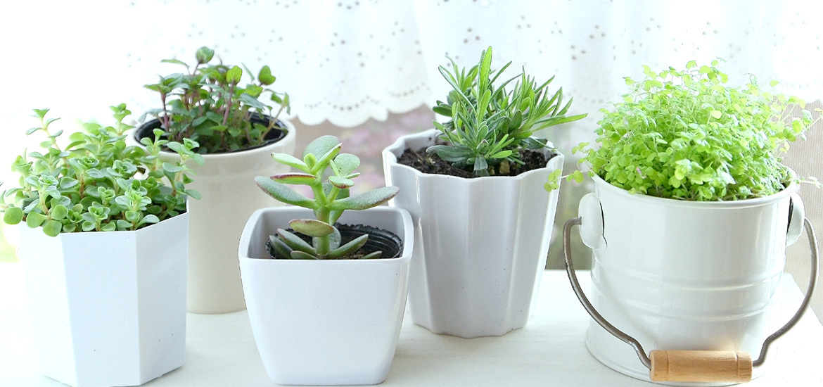 天理市柳本町　柳本　内科　整形外科外科　リハビリテーション科